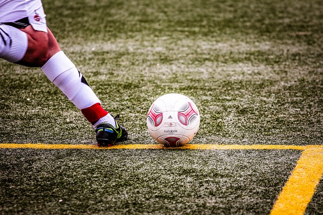 足以展现其 足以展现其