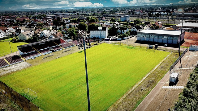能力的展示 能力的展示