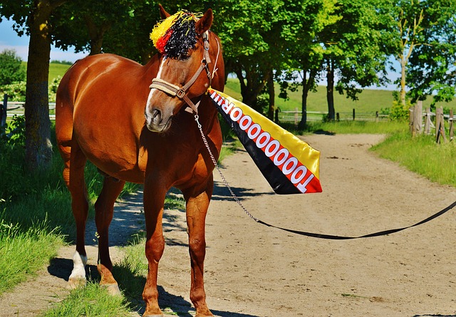 引起了广泛 引起了广泛