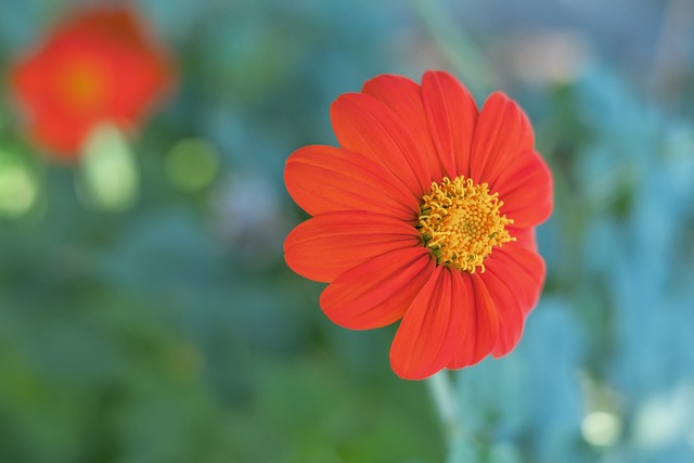 且有着很高 且有着很高